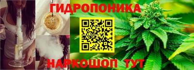 Альфа ПВП Дмитров